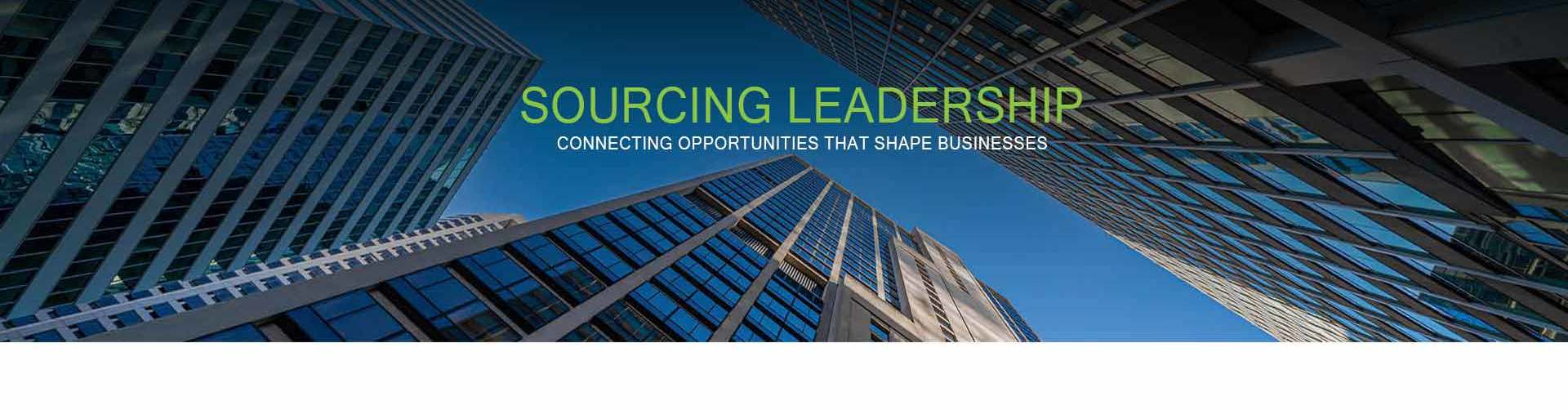 Headhunters Executive Leadership